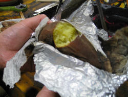 c0148548_054237.jpg