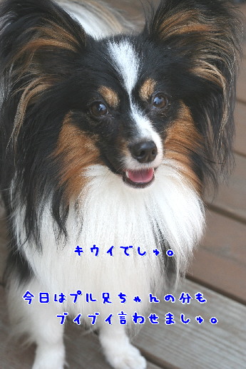 d0013149_9105717.jpg