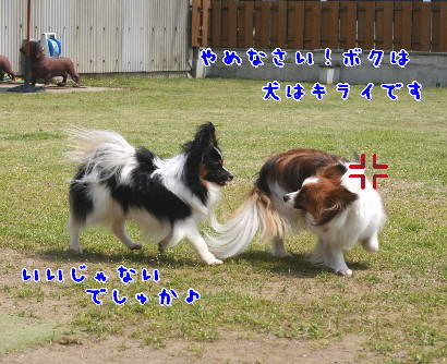 d0013149_9133875.jpg