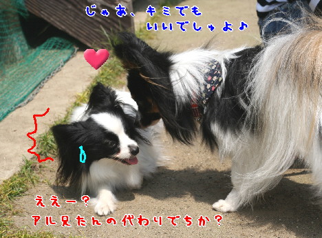 d0013149_9141221.jpg