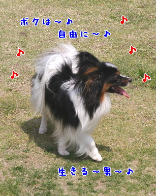 d0013149_9152849.jpg