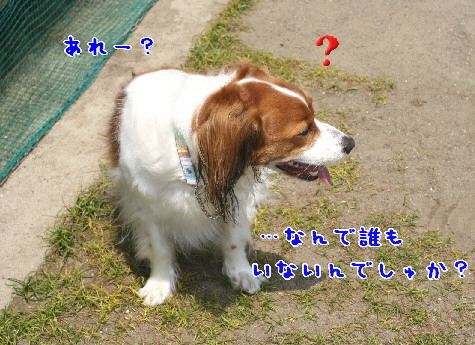 d0013149_94622.jpg