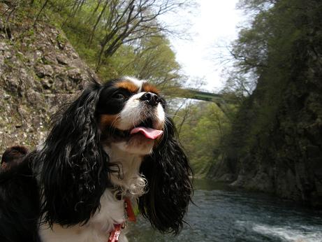 c0145250_1055196.jpg