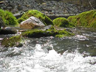 c0145250_1057109.jpg