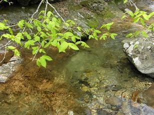 c0145250_10574949.jpg