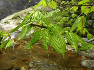 c0145250_10591815.jpg