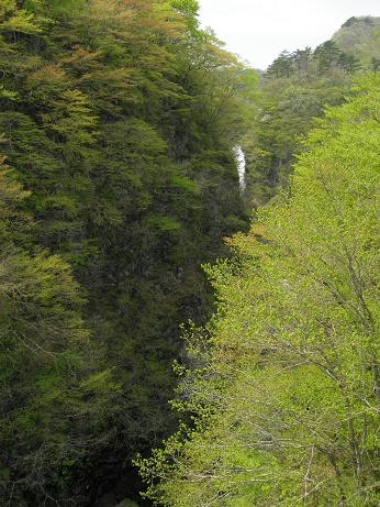 c0145250_10593679.jpg