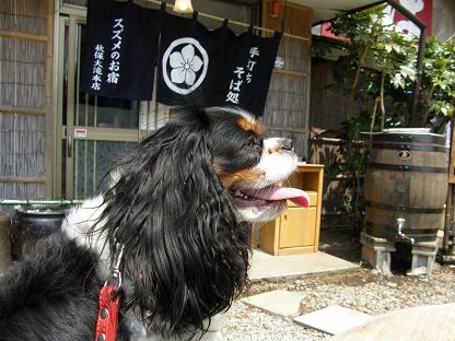 c0145250_117047.jpg