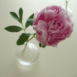 d0079151_22382691.jpg