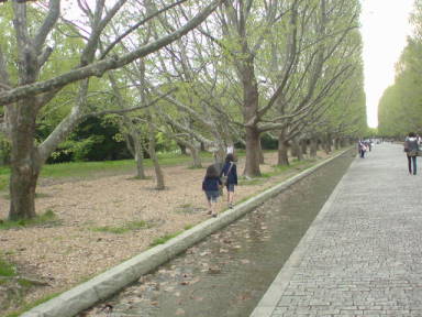 a0051154_145299.jpg