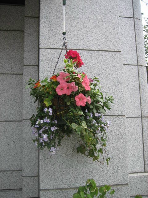 d0068757_10275210.jpg