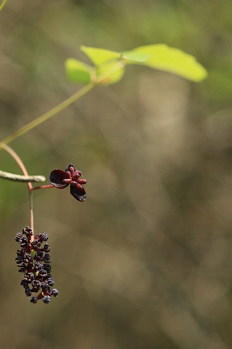 d0128465_827368.jpg