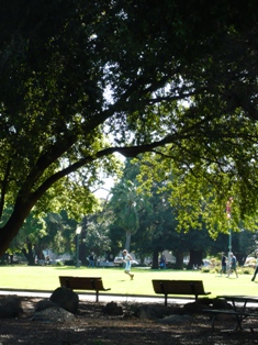 c0123668_3452336.jpg