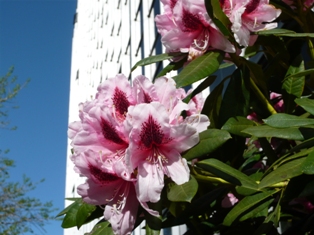 c0123668_345503.jpg