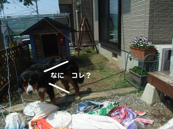 e0124868_11511654.jpg