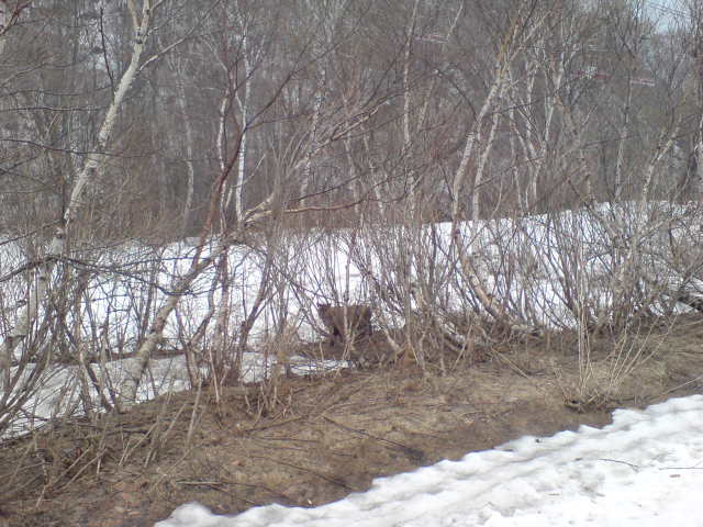 b0085469_1912976.jpg