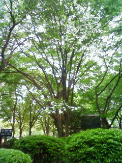 e0037673_20575826.jpg