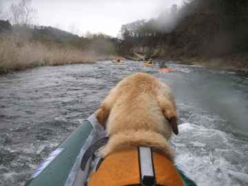 f0161874_13243137.gif