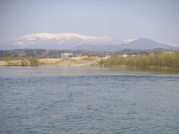 f0161874_1355058.gif