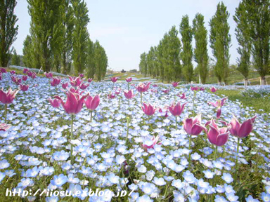 f0091282_2281077.jpg