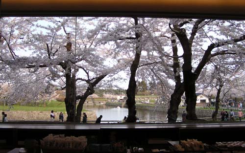 f0092382_13261629.jpg