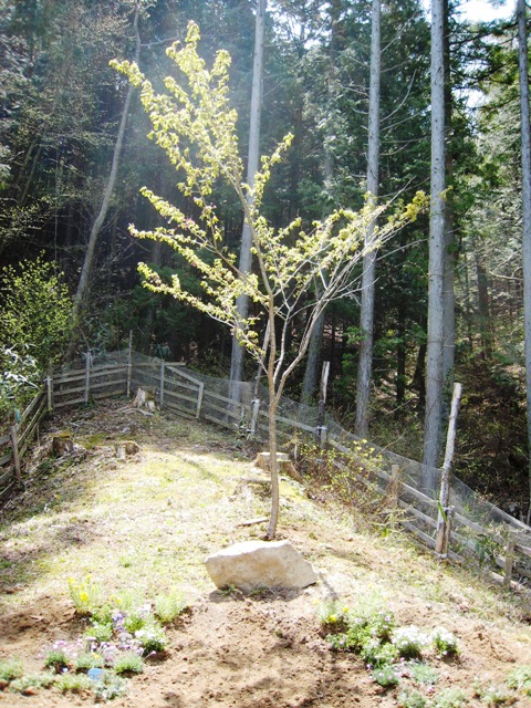 d0065484_23541431.jpg