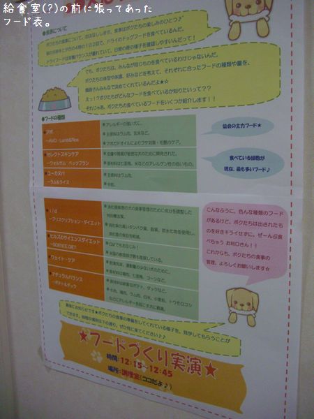 b0000885_8201015.jpg