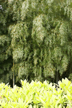 b0010191_0425619.jpg