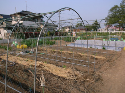 f0070493_1653141.jpg