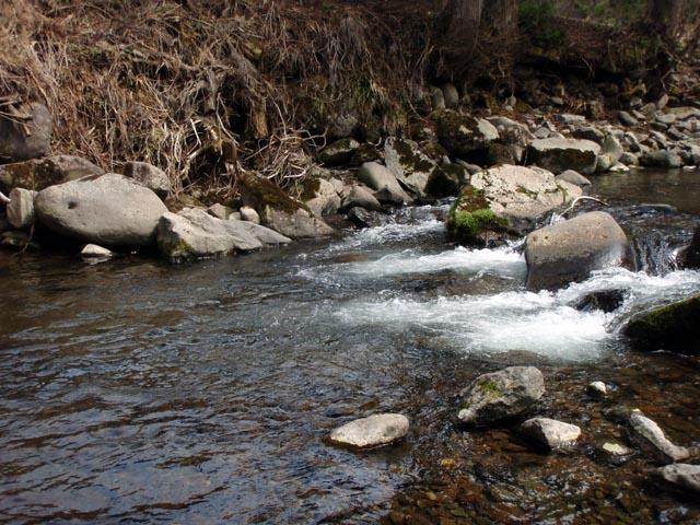 a0043395_212935.jpg