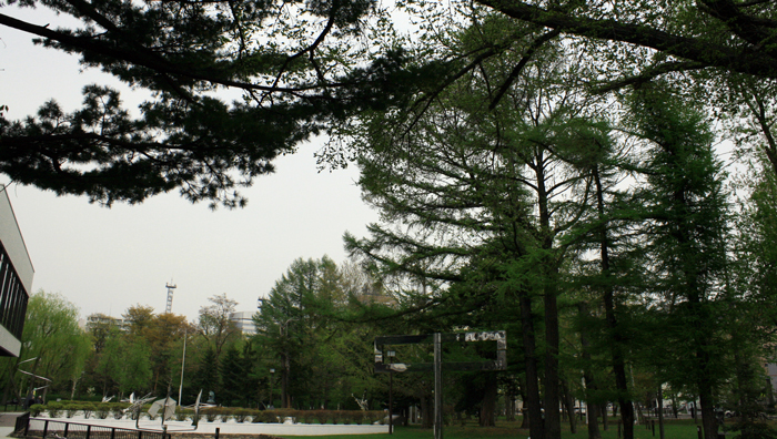 f0001895_1732461.jpg