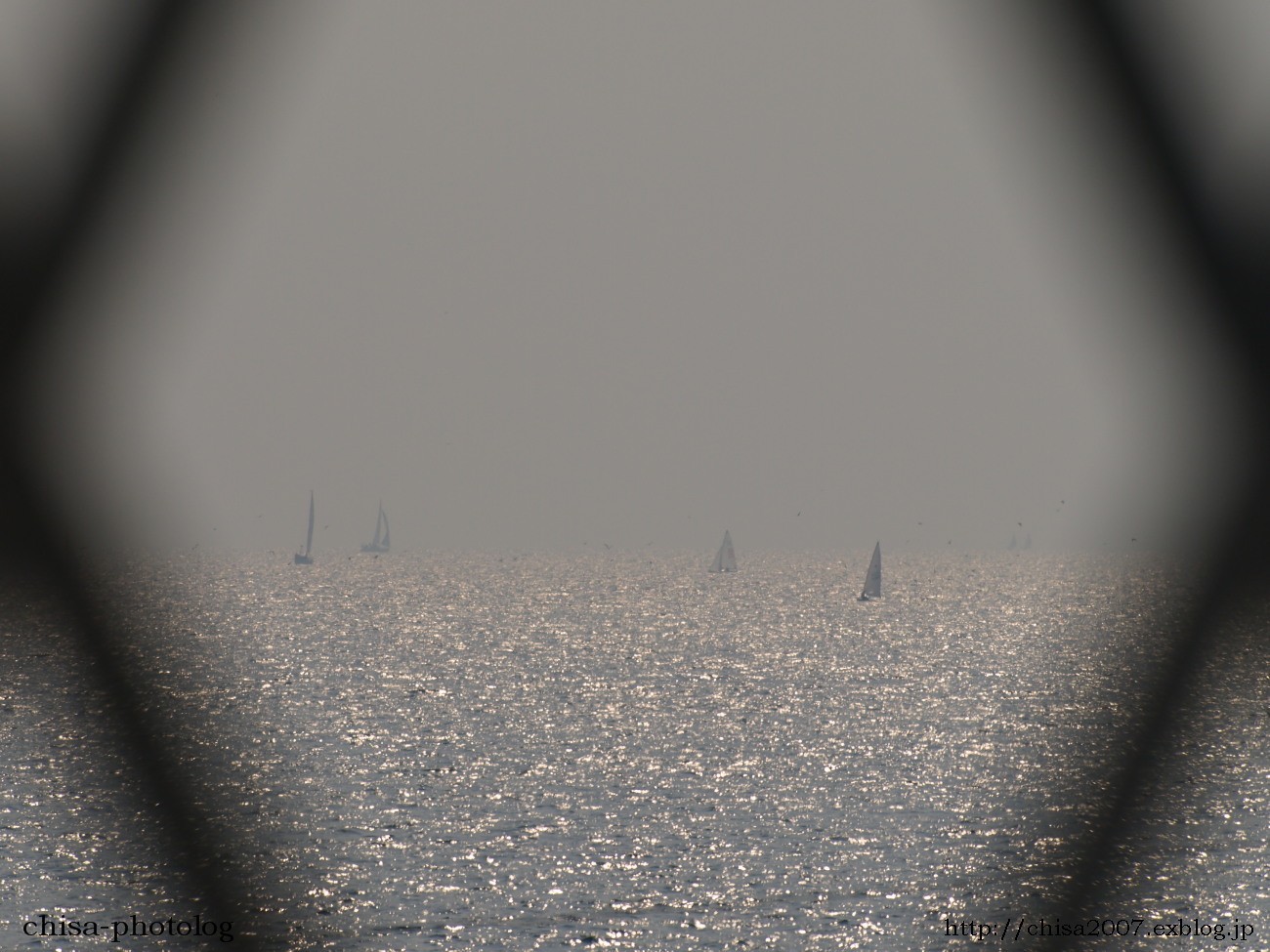 c0158998_9311199.jpg