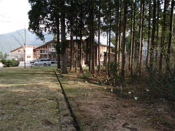 a0061599_742762.jpg
