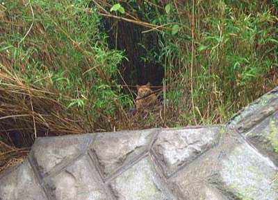 b0087400_22493976.jpg