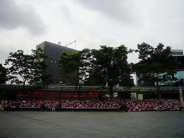 b0114403_20112541.jpg