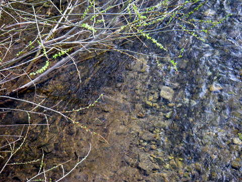 d0051707_23405811.jpg