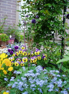 d0001008_19293781.jpg