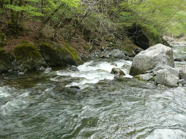 d0126708_17235610.jpg