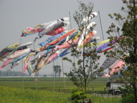 e0064409_10371344.jpg