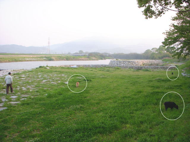 c0017311_7653.jpg