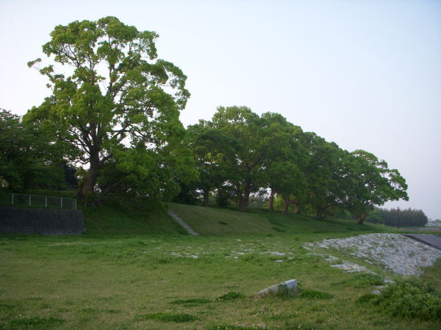 c0017311_794929.jpg