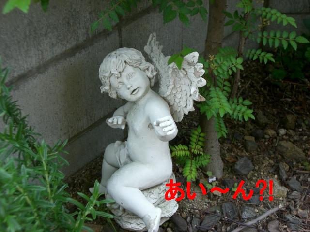 b0137913_1750215.jpg