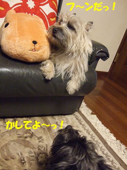 c0039114_0271434.jpg