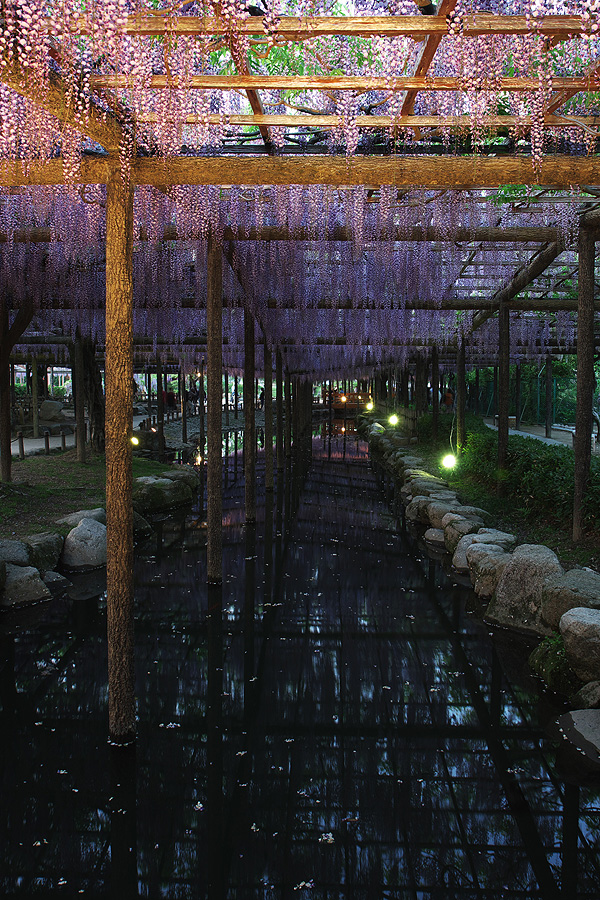 c0115616_747275.jpg
