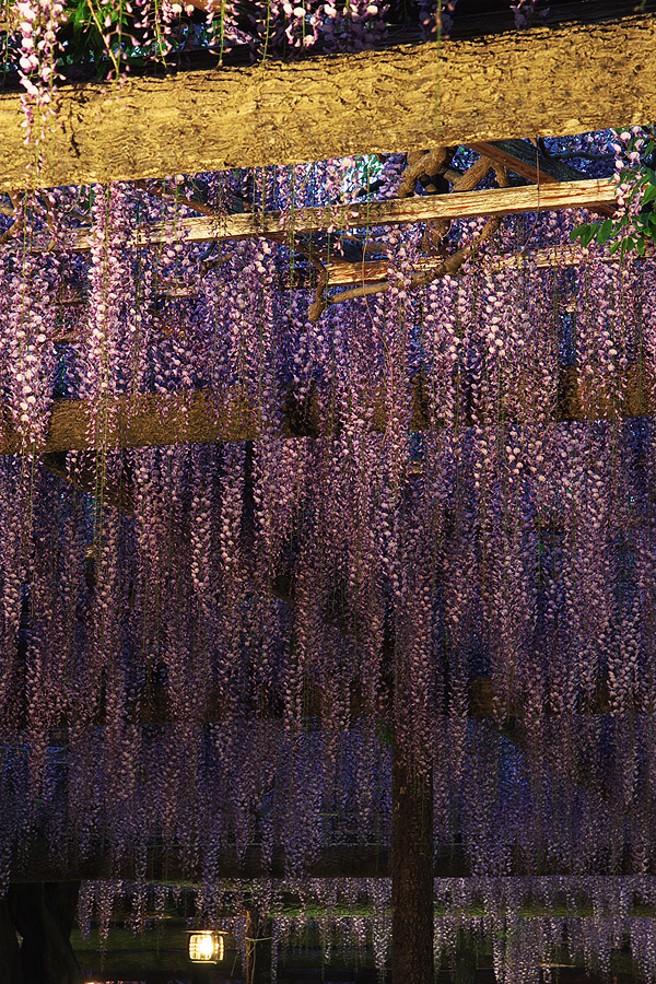 c0115616_7473724.jpg