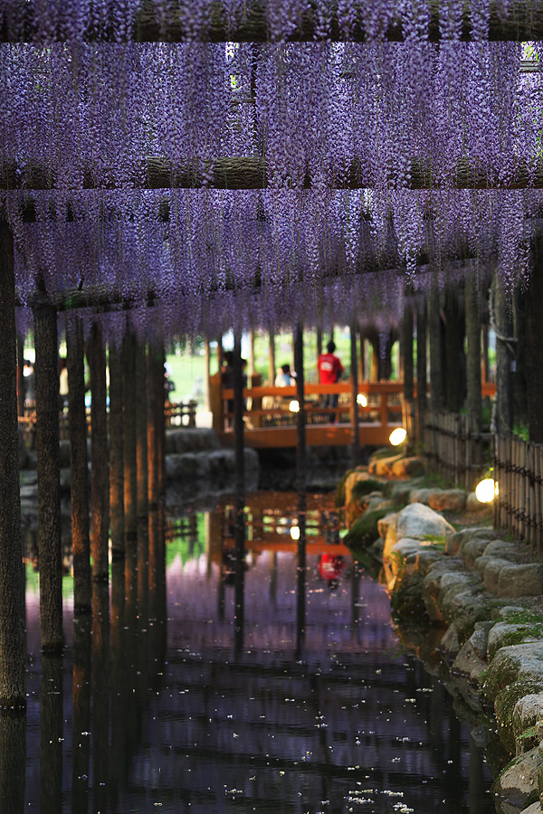 c0115616_747838.jpg