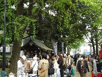 e0095517_15165039.jpg