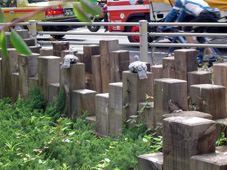 c0135618_132829.jpg