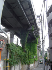 c0135618_1334195.jpg
