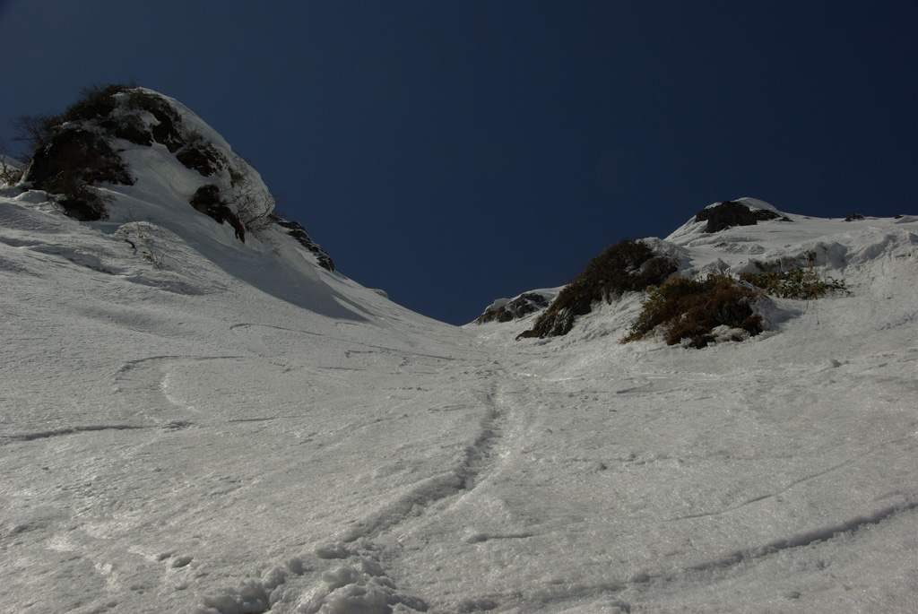b0062024_2046665.jpg